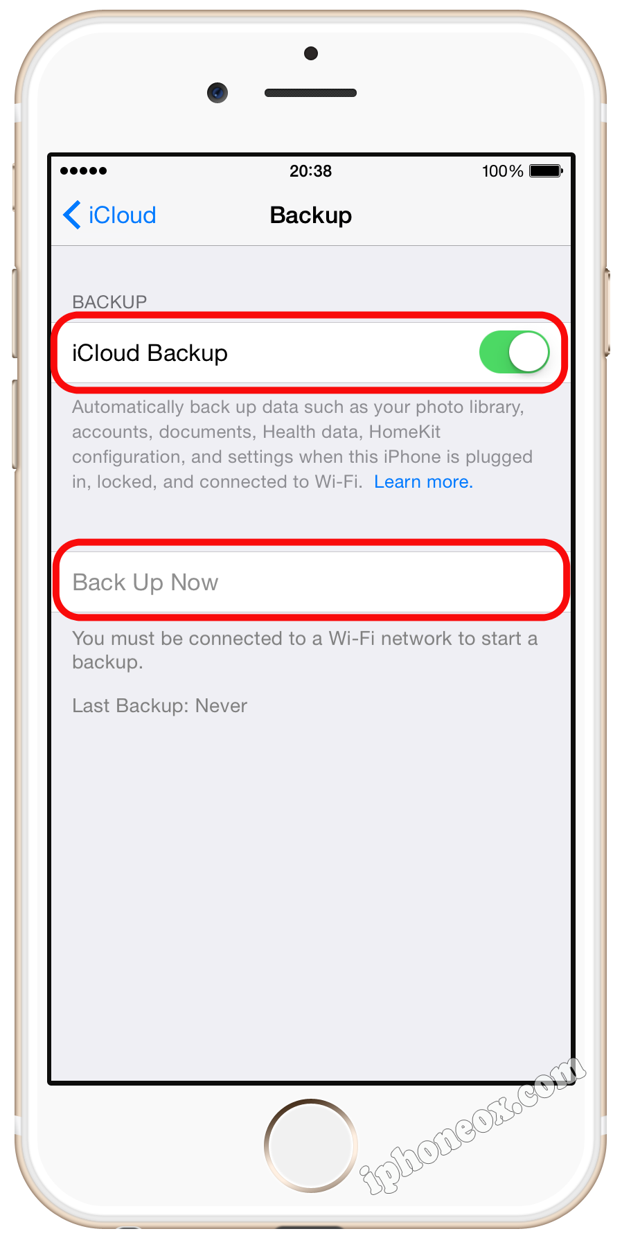 Turn on iCloud Backup and tap Back Up Now